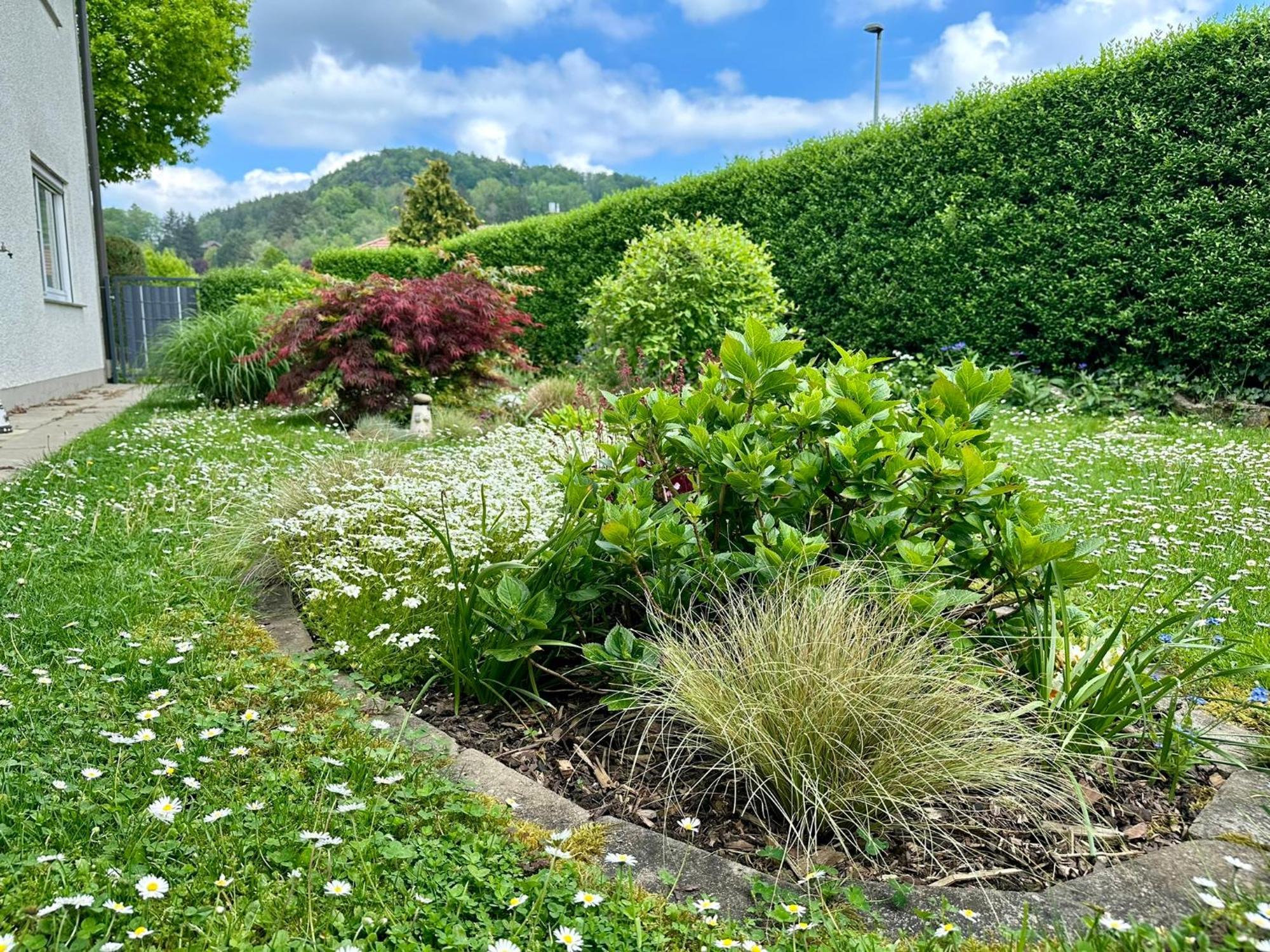 Apartment Schoene Mit Grossem Garten