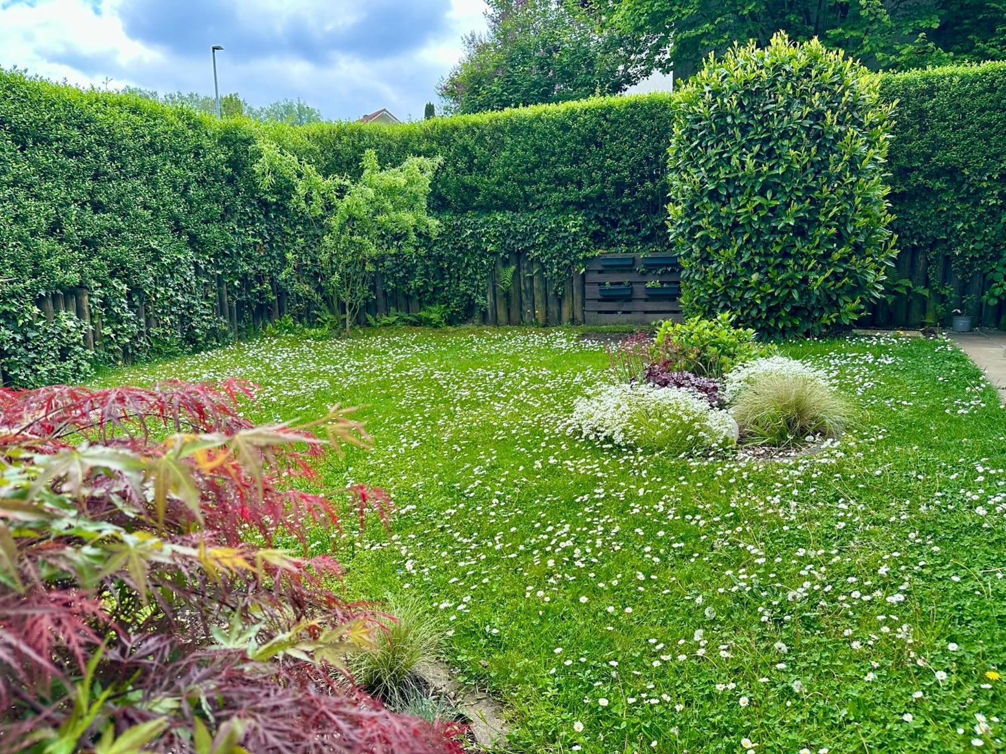 Schoene Mit Grossem Garten Apartment *