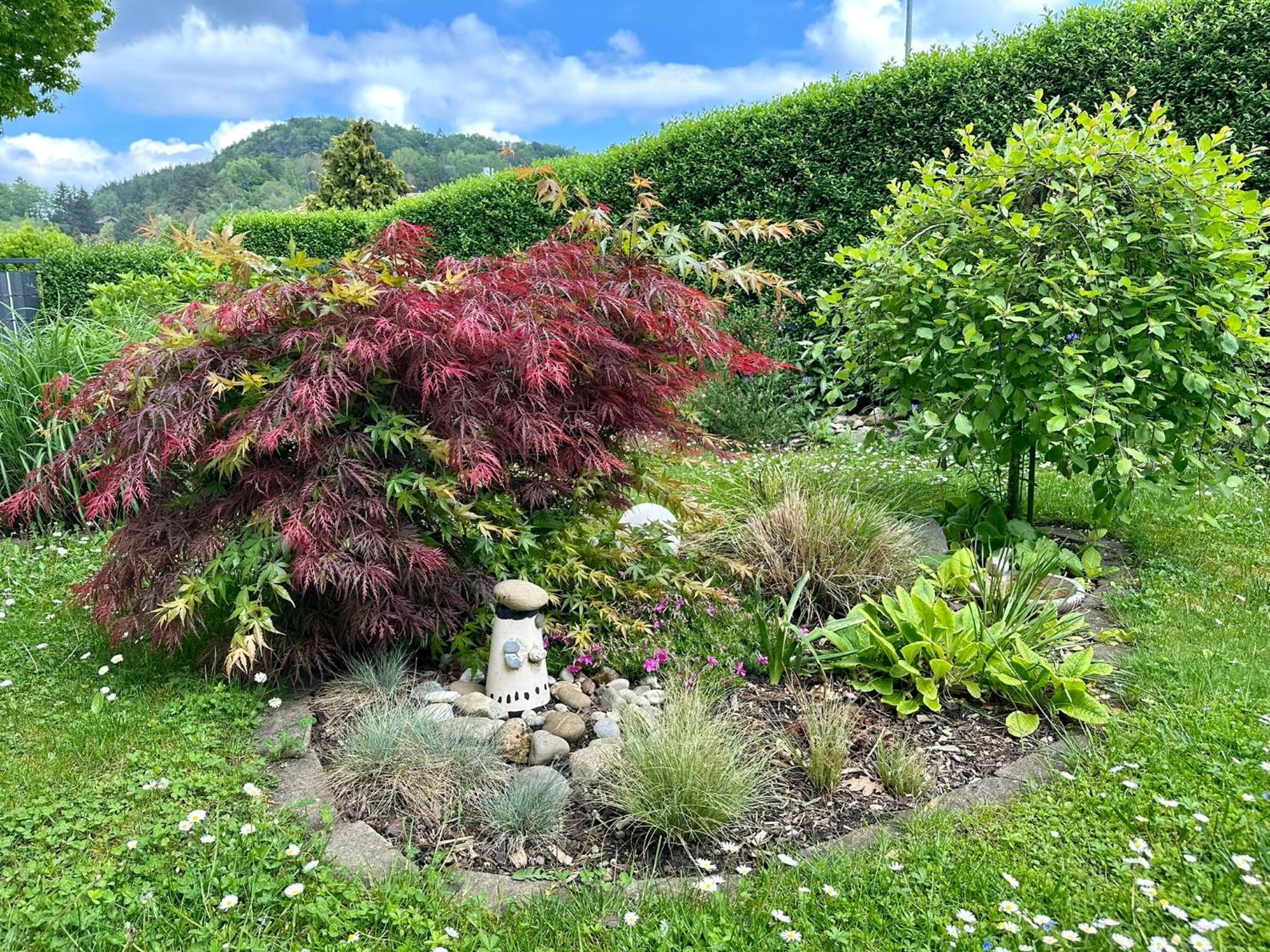 Schoene Mit Grossem Garten *